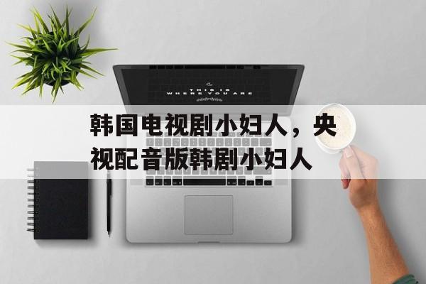 韩国电视剧小妇人，央视配音版韩剧小妇人-第1张图片-