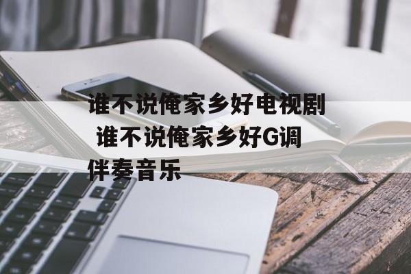 谁不说俺家乡好电视剧 谁不说俺家乡好G调伴奏音乐-第1张图片-