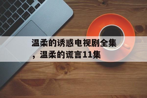 温柔的诱惑电视剧全集，温柔的谎言11集-第1张图片-