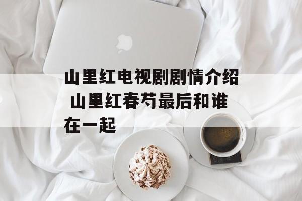 山里红电视剧剧情介绍 山里红春芍最后和谁在一起-第1张图片-