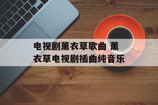 电视剧薰衣草歌曲 薰衣草电视剧插曲纯音乐-第1张图片-