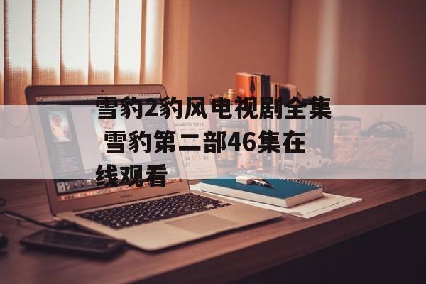 雪豹2豹风电视剧全集 雪豹第二部46集在线观看-第1张图片-