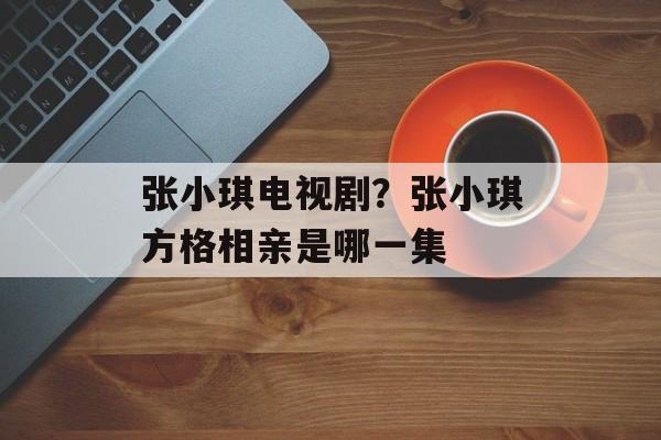 张小琪电视剧？张小琪方格相亲是哪一集-第1张图片-