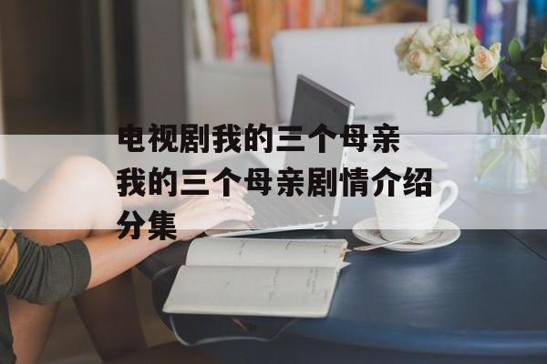 电视剧我的三个母亲 我的三个母亲剧情介绍分集-第1张图片-
