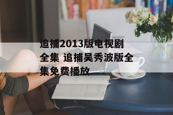 追捕2013版电视剧全集 追捕吴秀波版全集免费播放-第1张图片-
