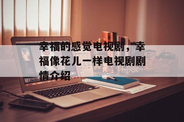 幸福的感觉电视剧，幸福像花儿一样电视剧剧情介绍-第1张图片-