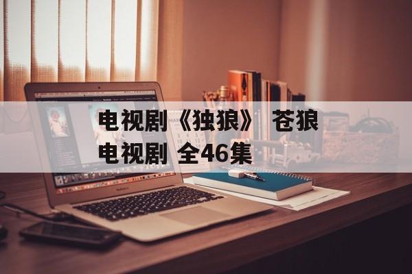 电视剧《独狼》 苍狼电视剧 全46集-第1张图片-