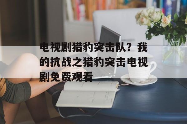 电视剧猎豹突击队？我的抗战之猎豹突击电视剧免费观看-第1张图片-