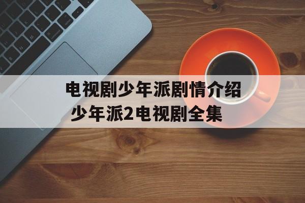 电视剧少年派剧情介绍 少年派2电视剧全集-第1张图片-
