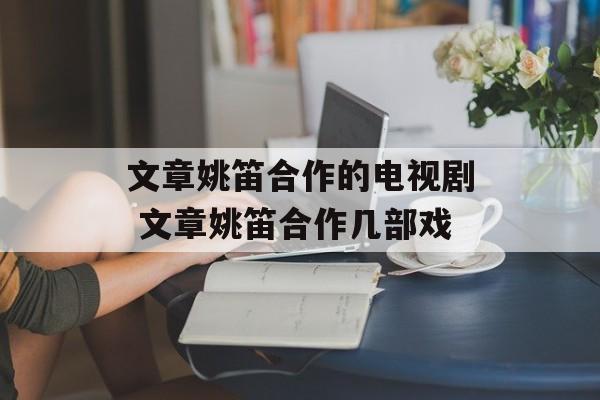文章姚笛合作的电视剧 文章姚笛合作几部戏-第1张图片-