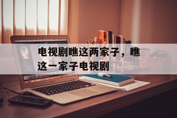 电视剧瞧这两家子，瞧这一家子电视剧-第1张图片-