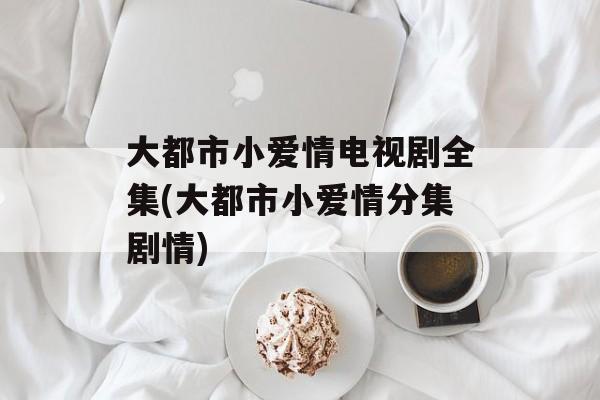 大都市小爱情电视剧全集(大都市小爱情分集剧情)-第1张图片-