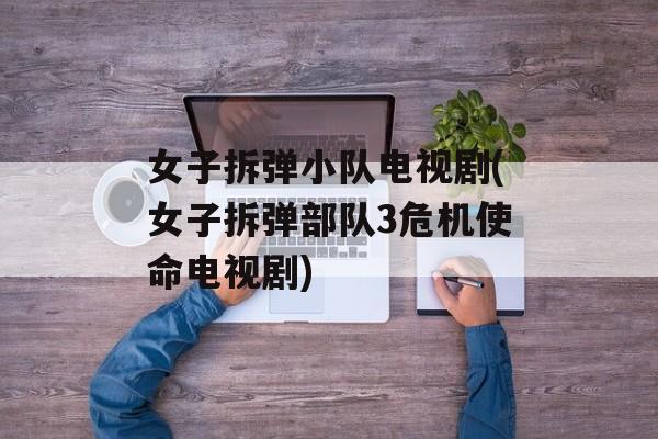女子拆弹小队电视剧(女子拆弹部队3危机使命电视剧)-第1张图片-