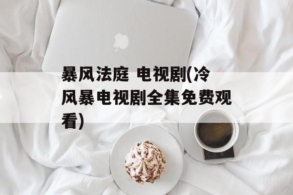 暴风法庭 电视剧(冷风暴电视剧全集免费观看)-第1张图片-