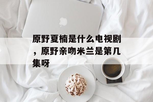 原野夏楠是什么电视剧，原野亲吻米兰是第几集呀-第1张图片-