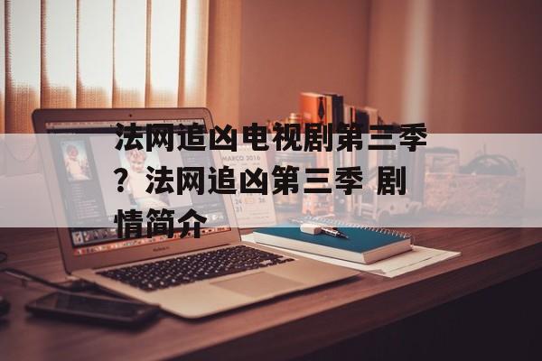 法网追凶电视剧第三季？法网追凶第三季 剧情简介-第1张图片-