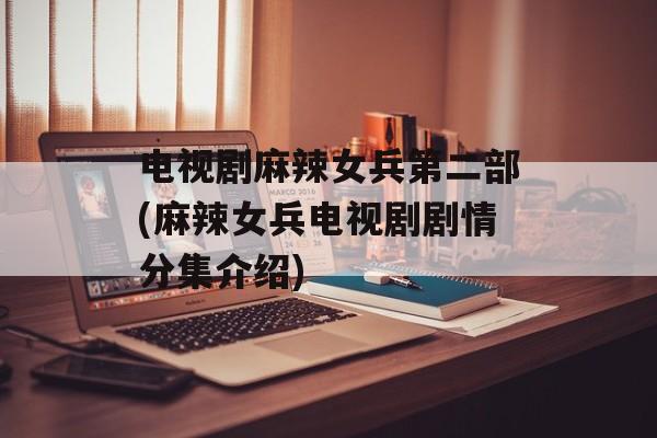 电视剧麻辣女兵第二部(麻辣女兵电视剧剧情分集介绍)-第1张图片-