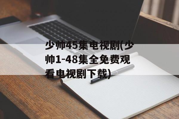 少帅45集电视剧(少帅1-48集全免费观看电视剧下载)-第1张图片-