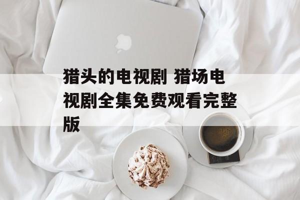 猎头的电视剧 猎场电视剧全集免费观看完整版-第1张图片-