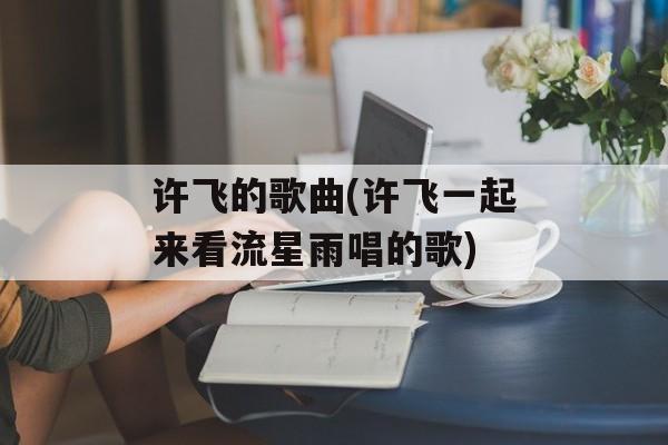 许飞的歌曲(许飞一起来看流星雨唱的歌)-第1张图片-