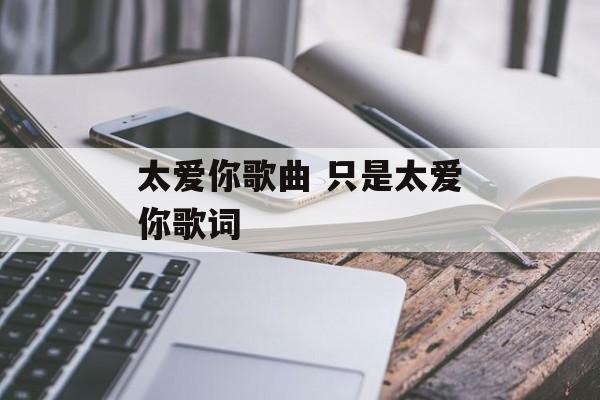 太爱你歌曲 只是太爱你歌词-第1张图片-