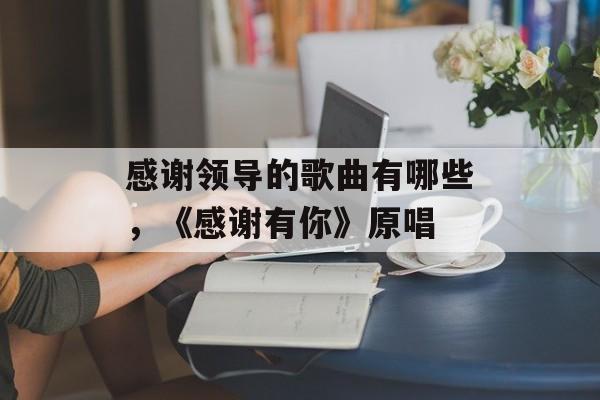 感谢领导的歌曲有哪些，《感谢有你》原唱-第1张图片-