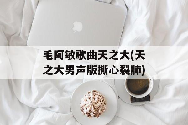 毛阿敏歌曲天之大(天之大男声版撕心裂肺)-第1张图片-