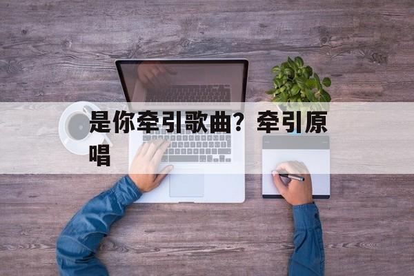 是你牵引歌曲？牵引原唱-第1张图片-