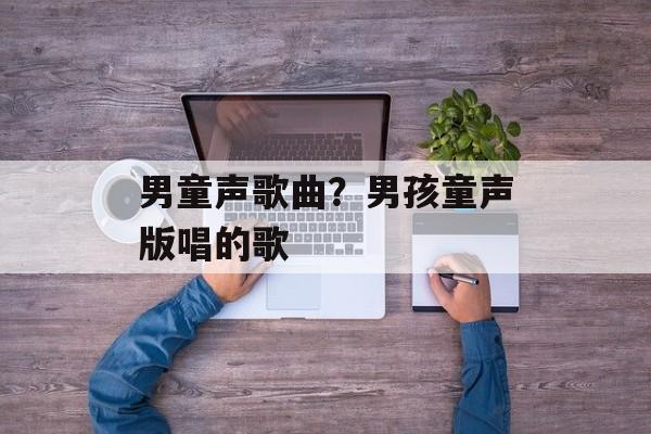 男童声歌曲？男孩童声版唱的歌-第1张图片-