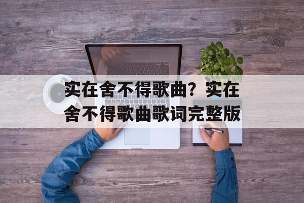 实在舍不得歌曲？实在舍不得歌曲歌词完整版-第1张图片-