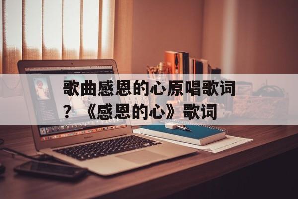 歌曲感恩的心原唱歌词？《感恩的心》歌词-第1张图片-