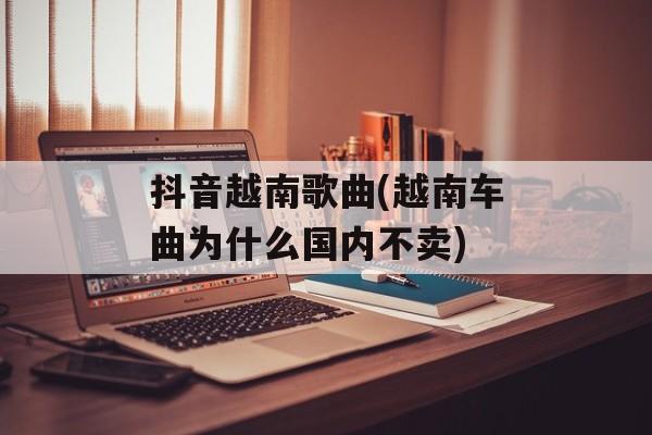 抖音越南歌曲(越南车曲为什么国内不卖)-第1张图片-