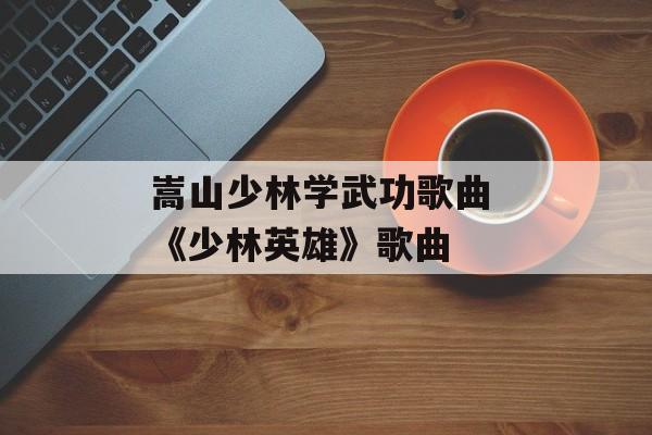 嵩山少林学武功歌曲 《少林英雄》歌曲-第1张图片-