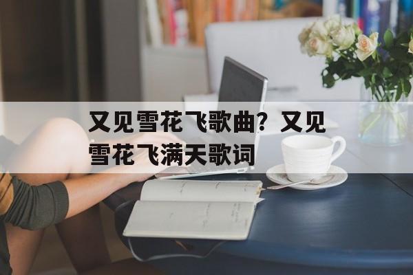 又见雪花飞歌曲？又见雪花飞满天歌词-第1张图片-