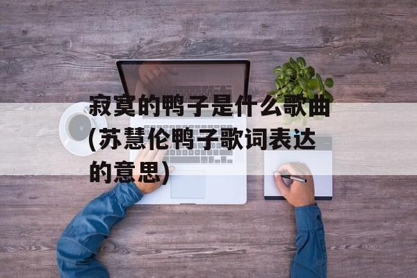 寂寞的鸭子是什么歌曲(苏慧伦鸭子歌词表达的意思)-第1张图片-