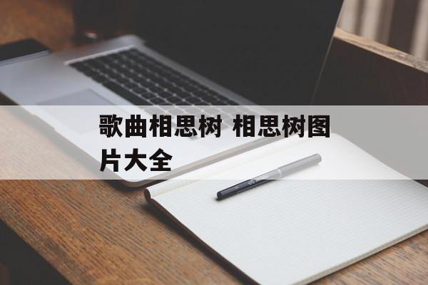 歌曲相思树 相思树图片大全-第1张图片-