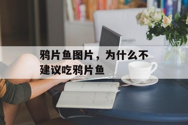 鸦片鱼图片，为什么不建议吃鸦片鱼-第1张图片-