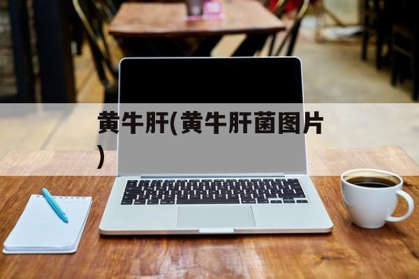 黄牛肝(黄牛肝菌图片)-第1张图片-