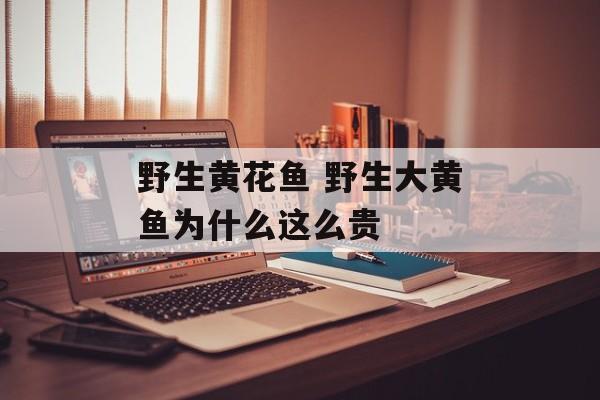 野生黄花鱼 野生大黄鱼为什么这么贵-第1张图片-