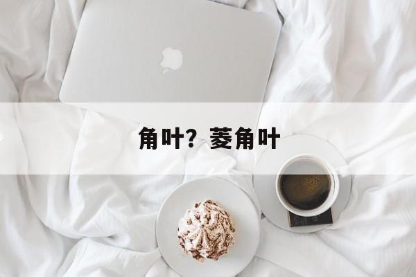 角叶？菱角叶-第1张图片-