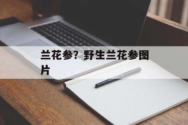 兰花参？野生兰花参图片-第1张图片-
