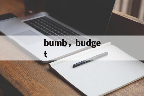 bumb，budget-第1张图片-