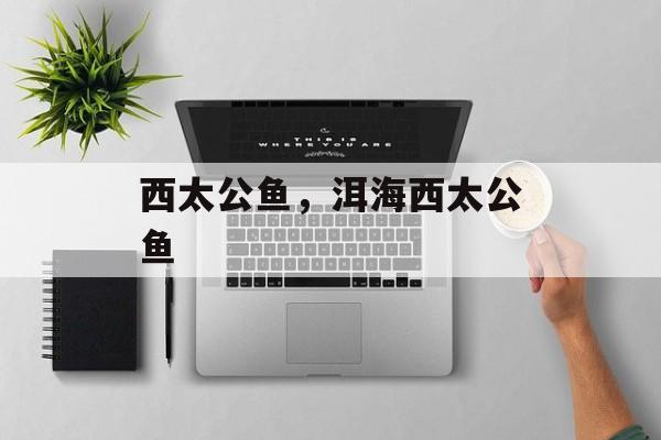 西太公鱼，洱海西太公鱼-第1张图片-