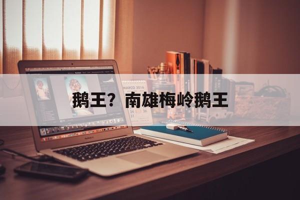 鹅王？南雄梅岭鹅王-第1张图片-