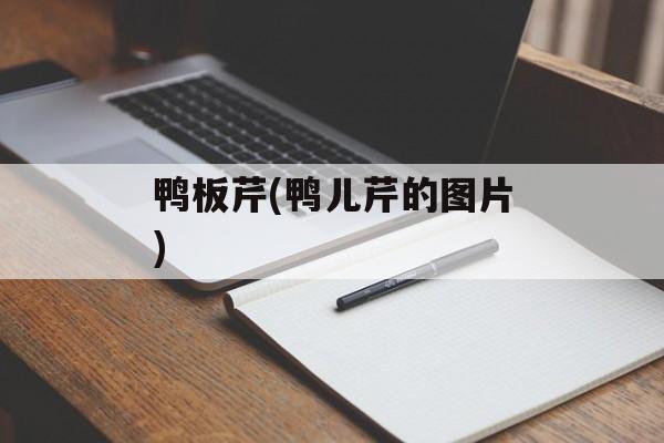 鸭板芹(鸭儿芹的图片)-第1张图片-