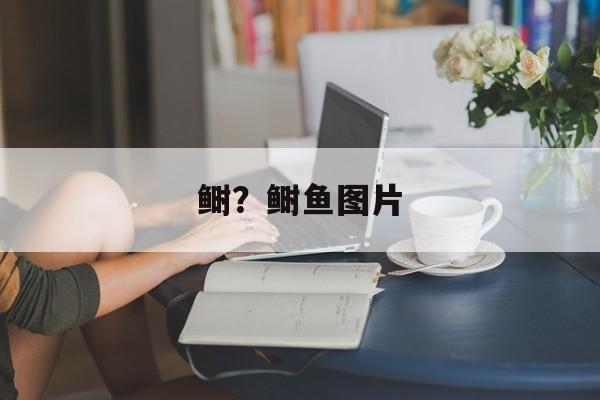 鲥？鲥鱼图片-第1张图片-