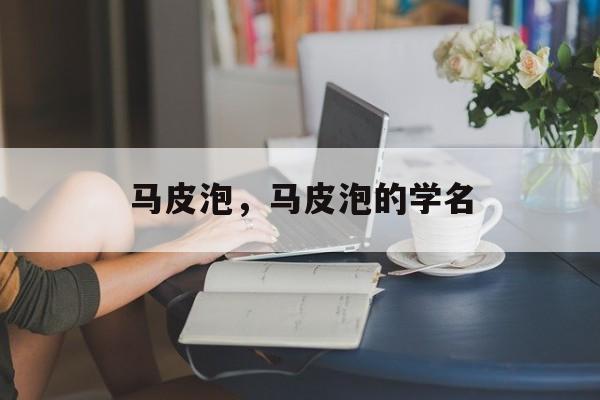 马皮泡，马皮泡的学名-第1张图片-