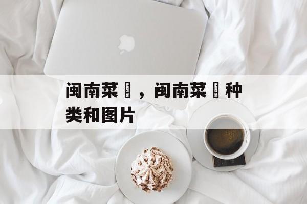 闽南菜粿，闽南菜粿种类和图片-第1张图片-