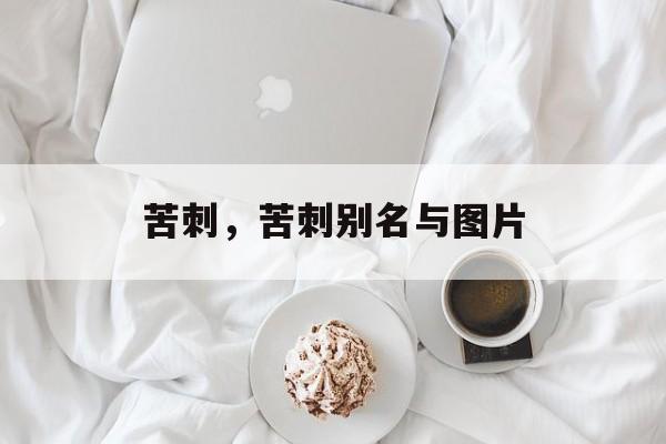 苦刺，苦刺别名与图片-第1张图片-
