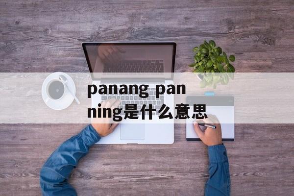 panang panning是什么意思-第1张图片-